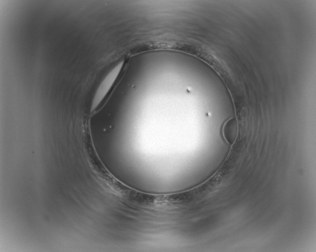 X0000068730641200605192320