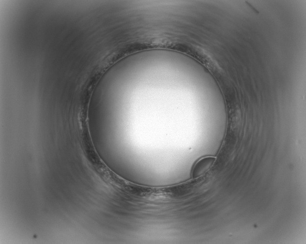 X0000068730643200605192320