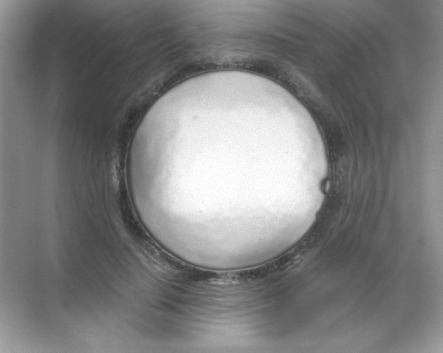 X0000068730644200605192320