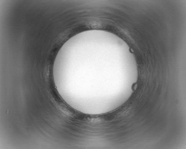 X0000068730645200605192320