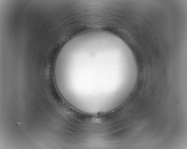 X0000068730647200605192320