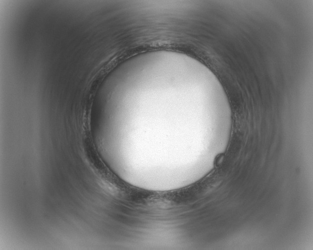 X0000068730648200605192320