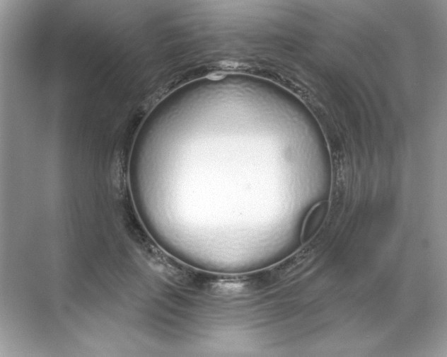 X0000068730651200605192320