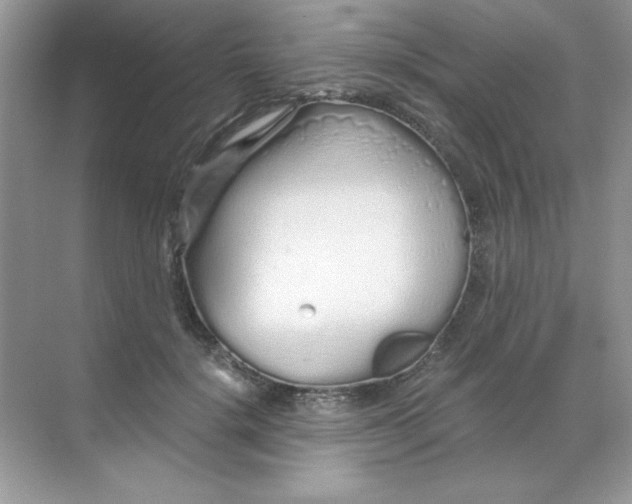 X0000068730652200605192320