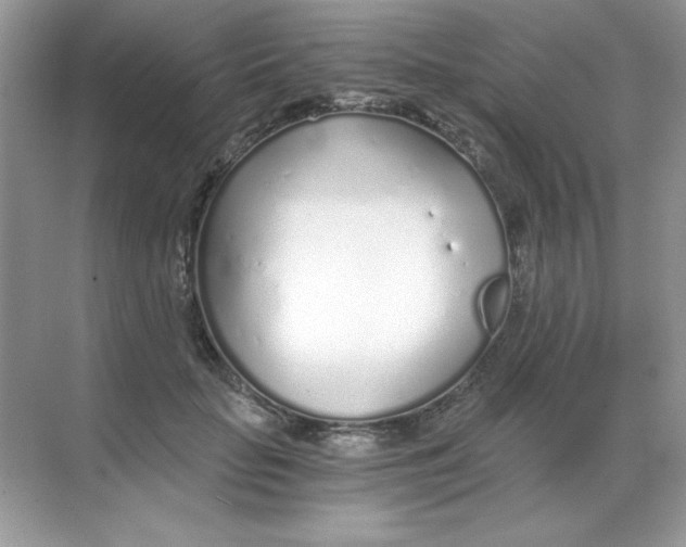 X0000068730653200605192320