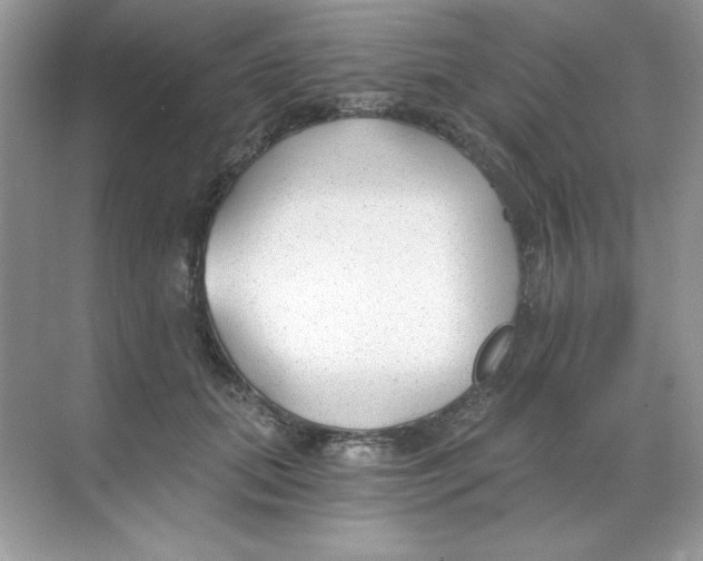 X0000068730655200605192320