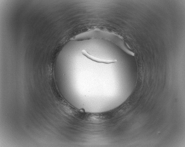 X0000068730657200605192320