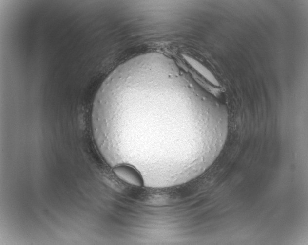 X0000068730658200605192320