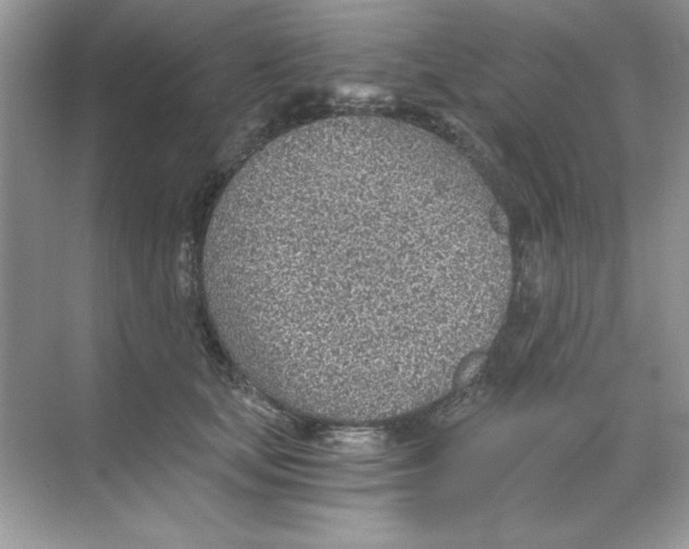 X0000068730659200605192320