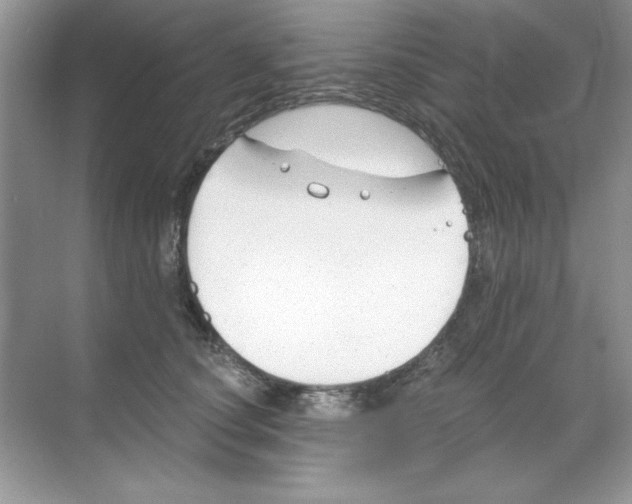 X0000068730660200605192320