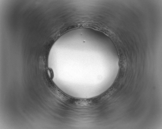 X0000068730661200605192320