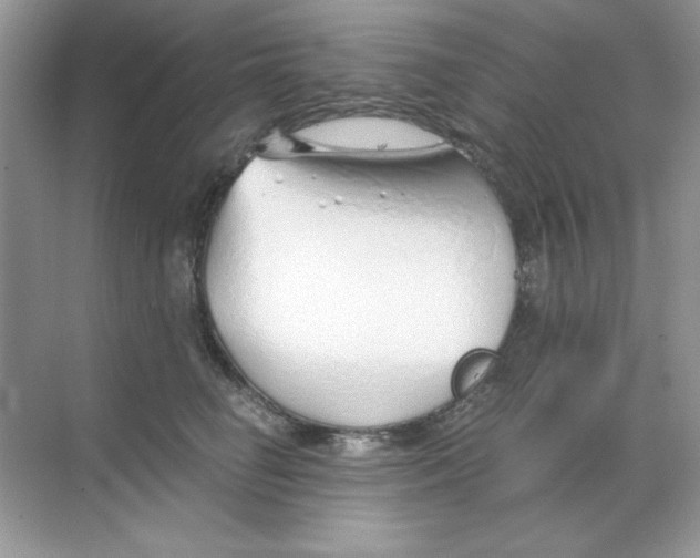 X0000068730662200605192320