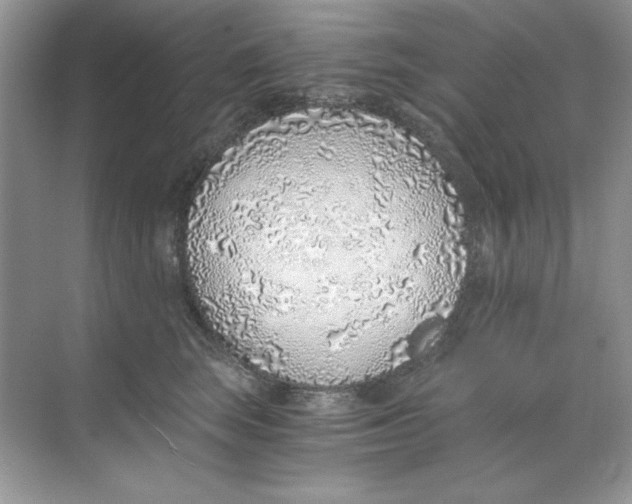 X0000068730663200605192320