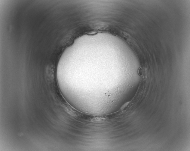 X0000068730664200605192320