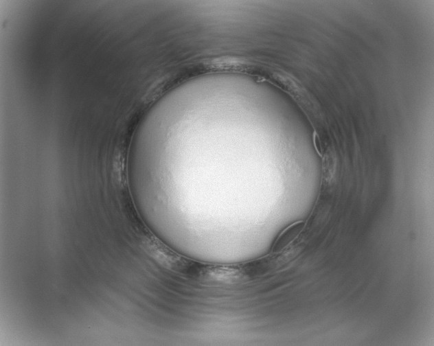 X0000068730669200605192321