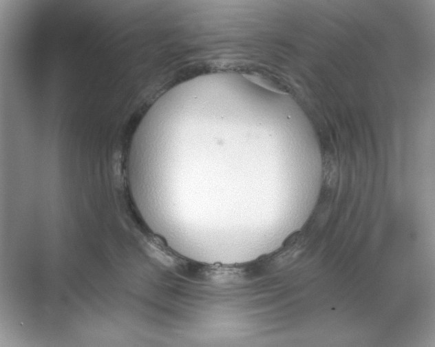 X0000068730670200605192321