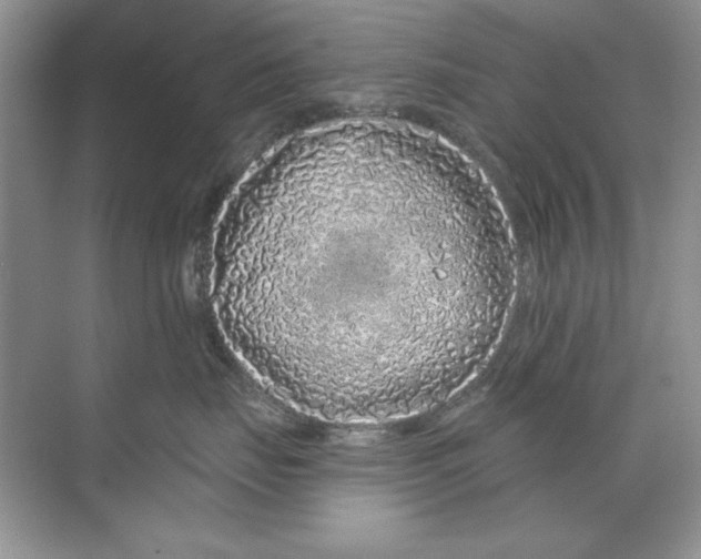 X0000068730671200605192321