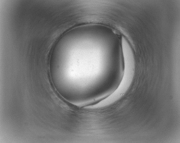 X0000068730673200605192320