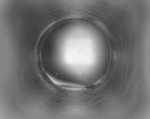 X0000068730676200605192320