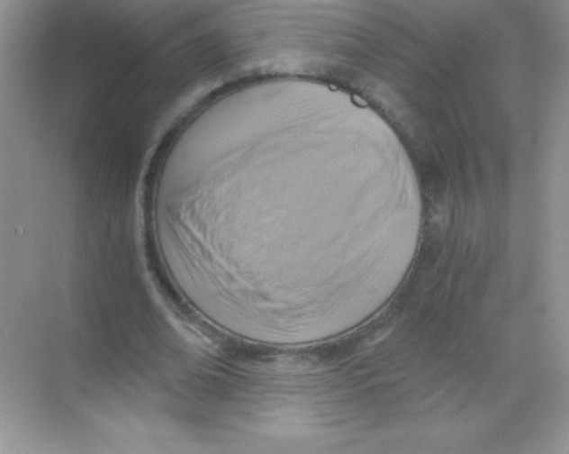 X0000068730678200605192320