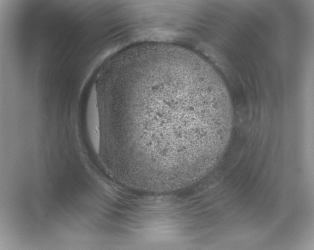 X0000068730679200605192320