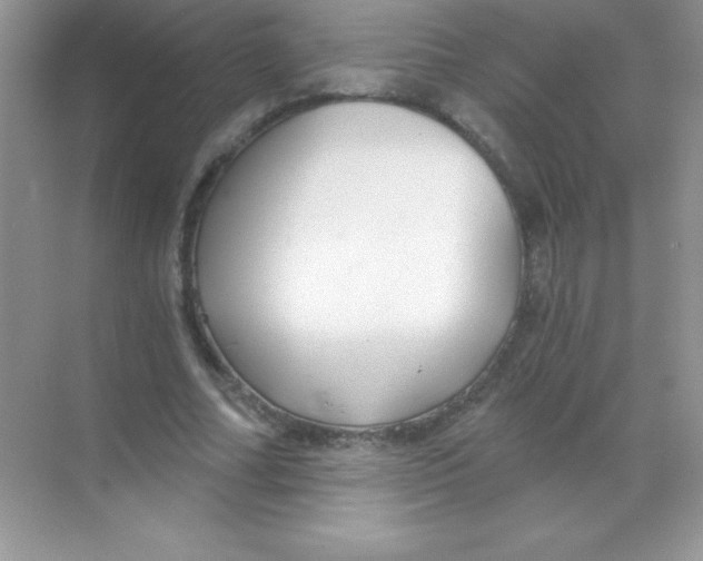 X0000068730682200605192320