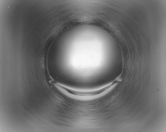 X0000068730689200605192319