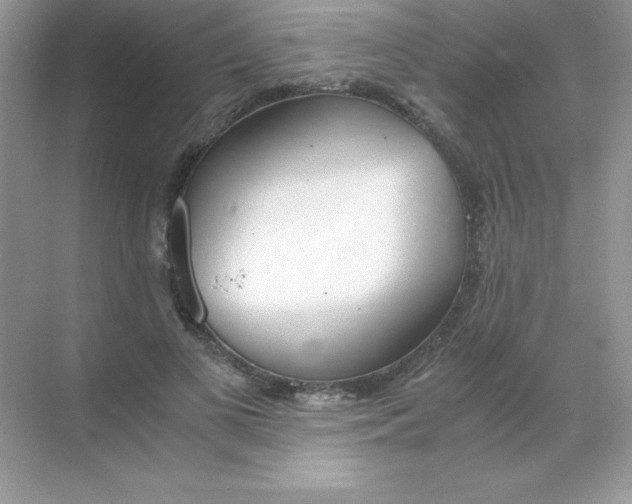 X0000068730693200605192319