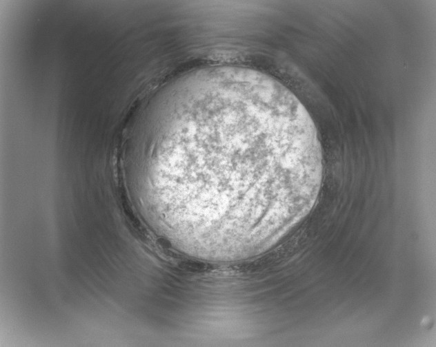 X0000068730696200605192319