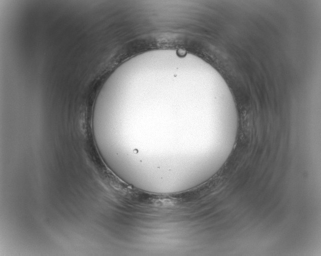 X0000068730698200605192319