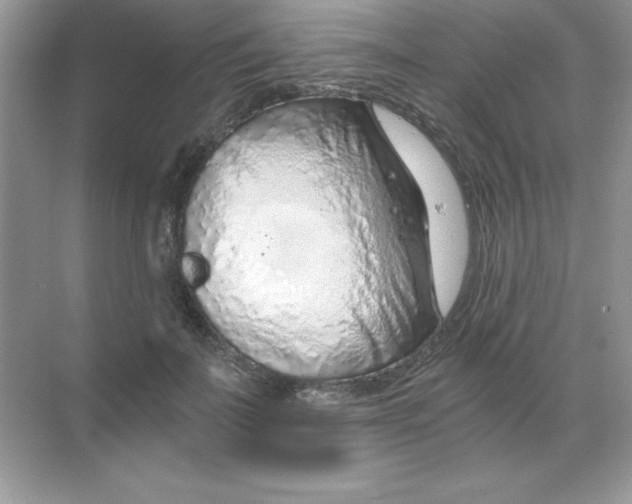 X0000068730699200605192319