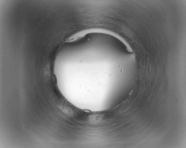 X0000068730700200605192319