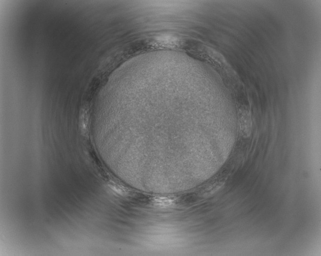 X0000068730701200605192319