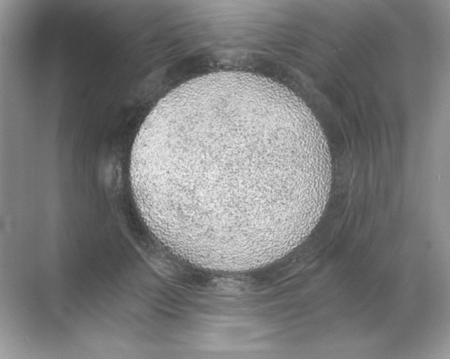 X0000068730703200605192319