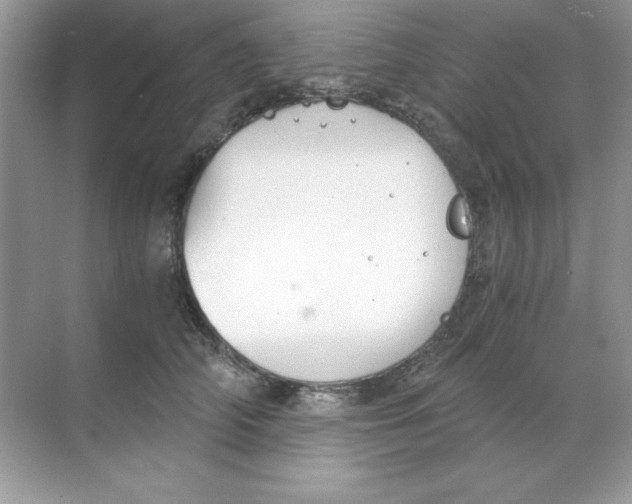 X0000068730706200605192319