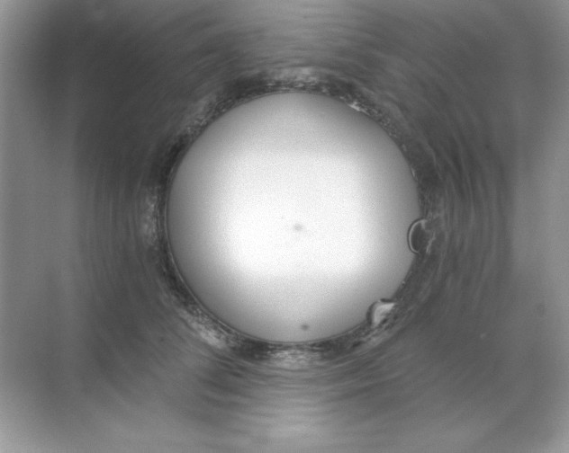 X0000068730708200605192319