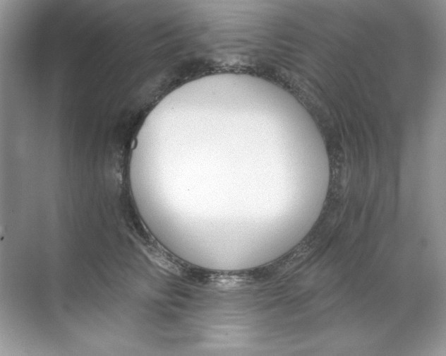 X0000068730710200605192319