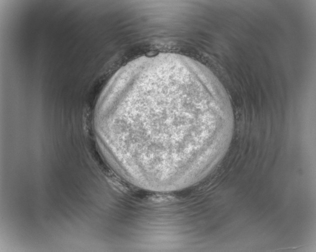 X0000068730712200605192319