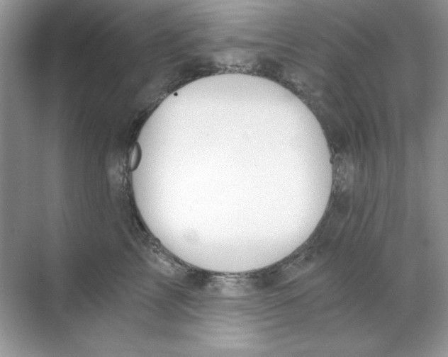 X0000068730713200605192319