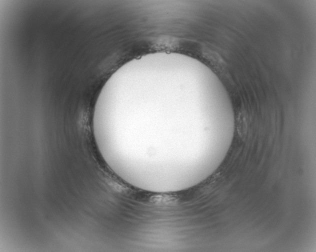 X0000068730714200605192319