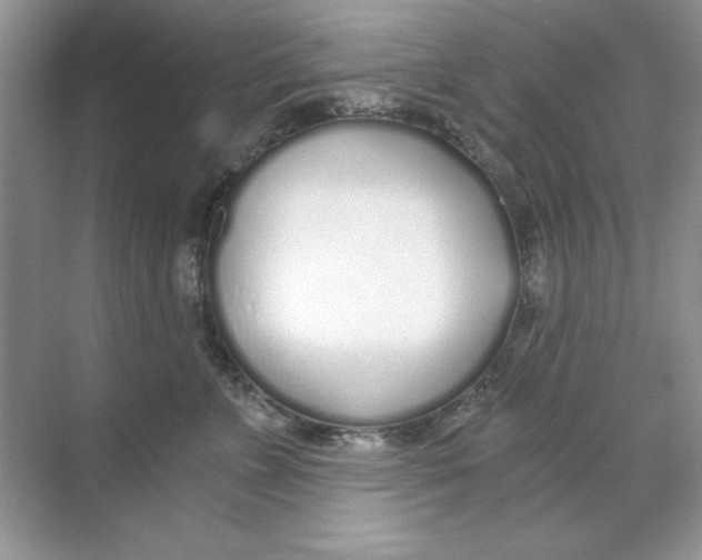 X0000068730715200605192319