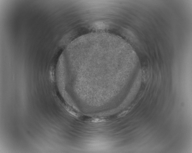 X0000068730718200605192319