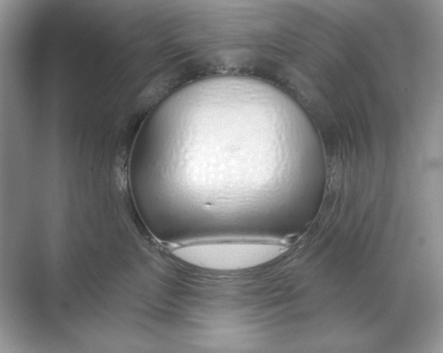 X0000068730719200605192319