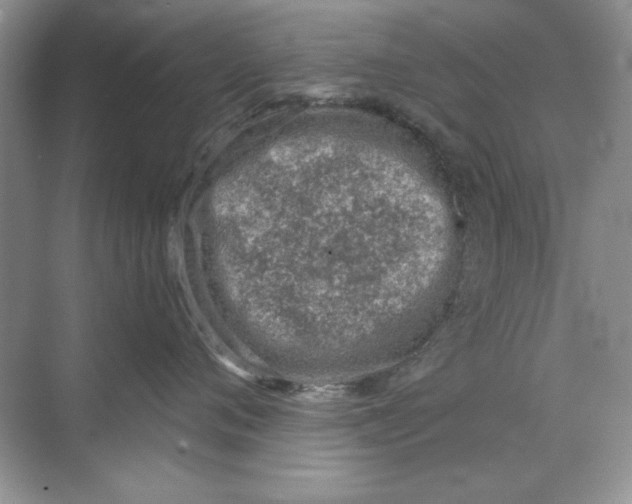 X0000068730720200605192319