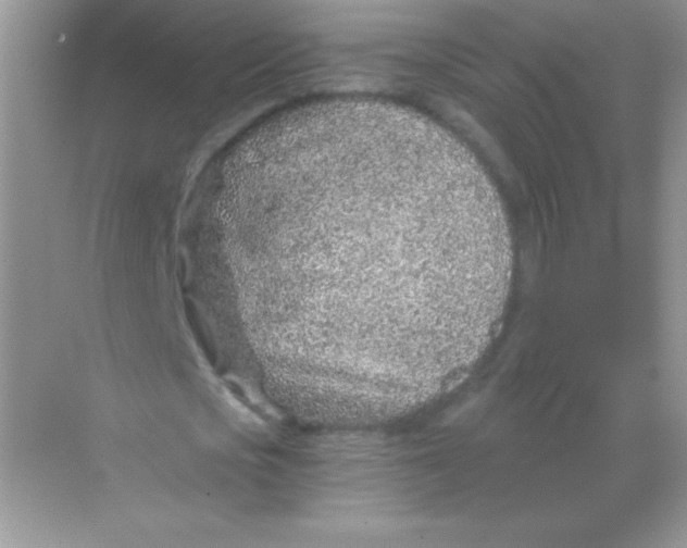 X0000068730721200605192318