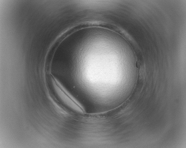 X0000068730722200605192318