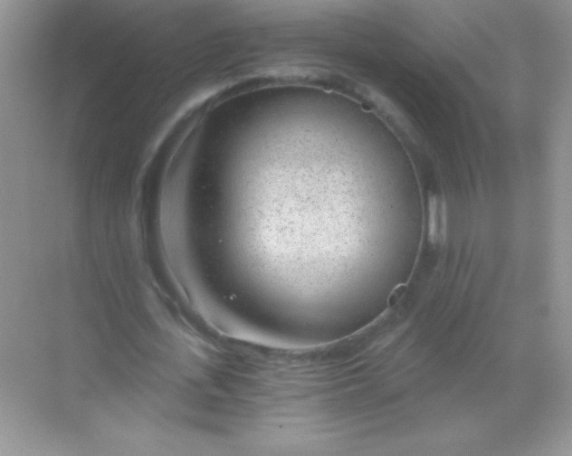 X0000068730723200605192318