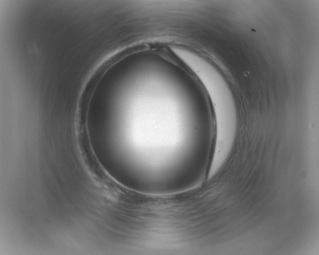 X0000068730724200605192318