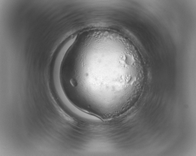 X0000068730725200605192318