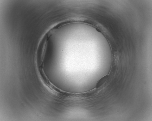 X0000068730726200605192318